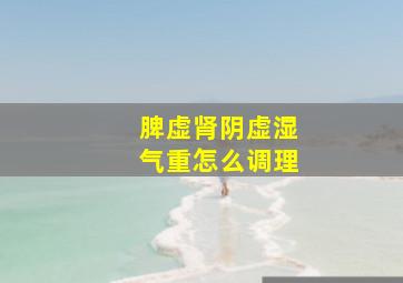 脾虚肾阴虚湿气重怎么调理