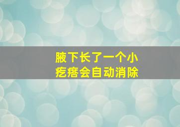 腋下长了一个小疙瘩会自动消除