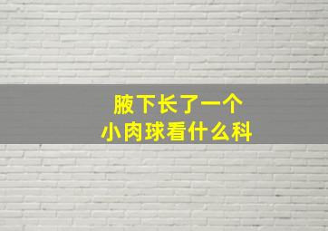 腋下长了一个小肉球看什么科