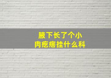 腋下长了个小肉疙瘩挂什么科