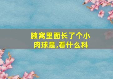 腋窝里面长了个小肉球是,看什么科