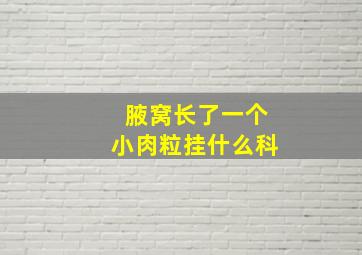 腋窝长了一个小肉粒挂什么科