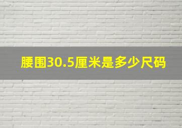 腰围30.5厘米是多少尺码