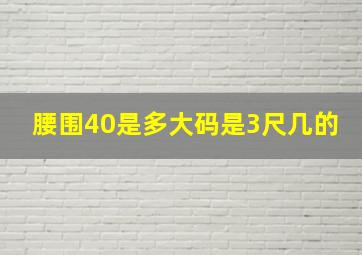 腰围40是多大码是3尺几的