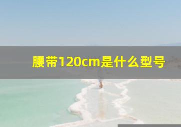 腰带120cm是什么型号