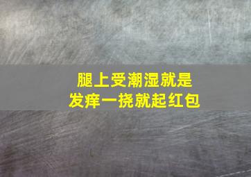 腿上受潮湿就是发痒一挠就起红包