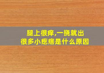 腿上很痒,一挠就出很多小疙瘩是什么原因