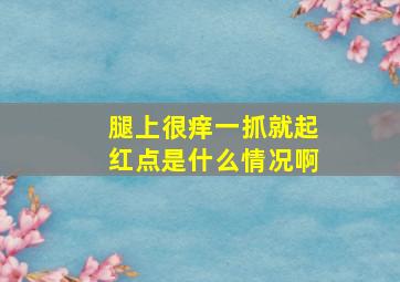 腿上很痒一抓就起红点是什么情况啊