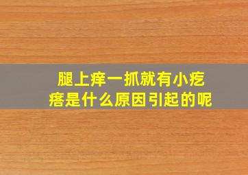 腿上痒一抓就有小疙瘩是什么原因引起的呢