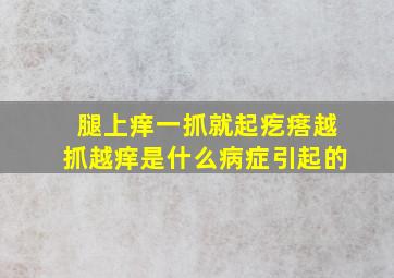 腿上痒一抓就起疙瘩越抓越痒是什么病症引起的