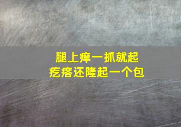 腿上痒一抓就起疙瘩还隆起一个包