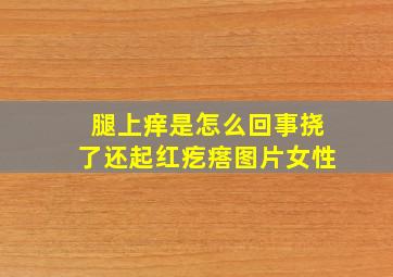 腿上痒是怎么回事挠了还起红疙瘩图片女性