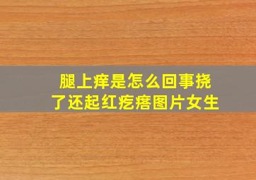 腿上痒是怎么回事挠了还起红疙瘩图片女生