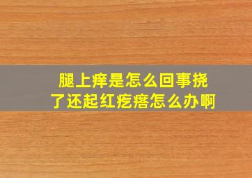 腿上痒是怎么回事挠了还起红疙瘩怎么办啊