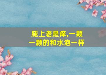 腿上老是痒,一颗一颗的和水泡一样