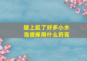 腿上起了好多小水泡很痒用什么药膏