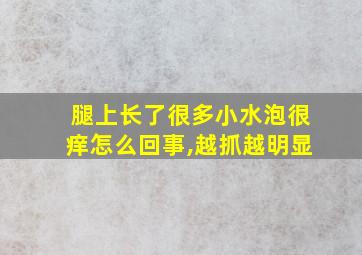 腿上长了很多小水泡很痒怎么回事,越抓越明显