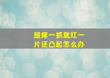 腿痒一抓就红一片还凸起怎么办