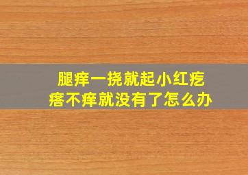 腿痒一挠就起小红疙瘩不痒就没有了怎么办