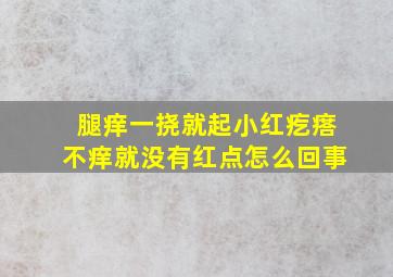 腿痒一挠就起小红疙瘩不痒就没有红点怎么回事