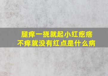 腿痒一挠就起小红疙瘩不痒就没有红点是什么病