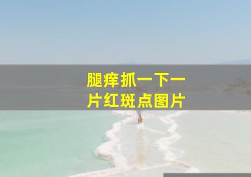 腿痒抓一下一片红斑点图片