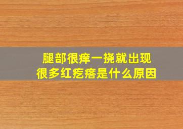 腿部很痒一挠就出现很多红疙瘩是什么原因