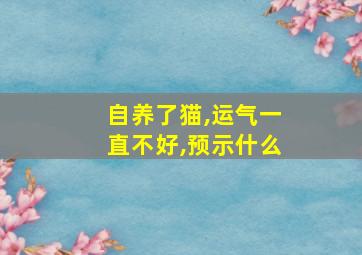 自养了猫,运气一直不好,预示什么