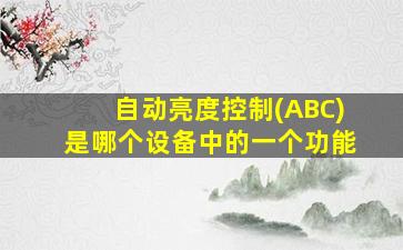 自动亮度控制(ABC)是哪个设备中的一个功能