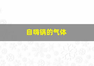 自嗨锅的气体