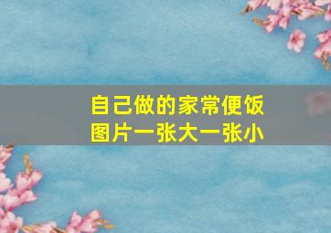 自己做的家常便饭图片一张大一张小