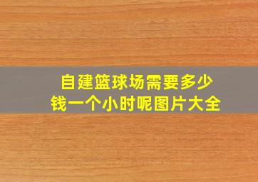 自建篮球场需要多少钱一个小时呢图片大全