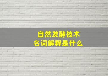 自然发酵技术名词解释是什么