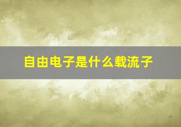 自由电子是什么载流子