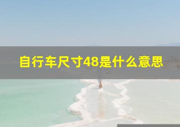 自行车尺寸48是什么意思