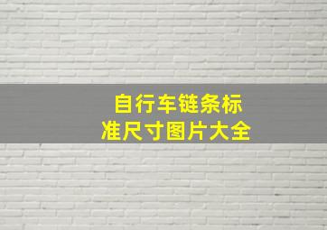 自行车链条标准尺寸图片大全