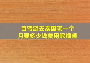 自驾游去泰国玩一个月要多少钱费用呢视频