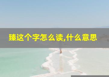 臻这个字怎么读,什么意思