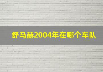 舒马赫2004年在哪个车队