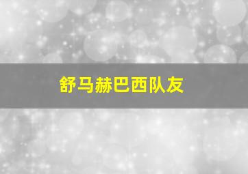 舒马赫巴西队友