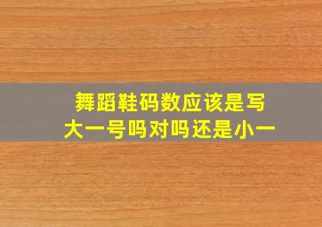 舞蹈鞋码数应该是写大一号吗对吗还是小一