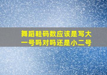 舞蹈鞋码数应该是写大一号吗对吗还是小二号