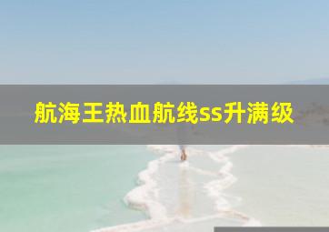 航海王热血航线ss升满级