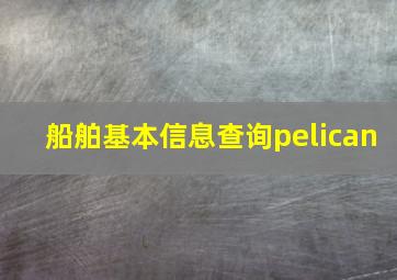 船舶基本信息查询pelican