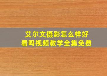 艾尔文摄影怎么样好看吗视频教学全集免费