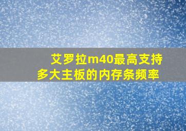 艾罗拉m40最高支持多大主板的内存条频率