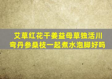 艾草红花干姜益母草独活川弯丹参桑枝一起煮水泡脚好吗