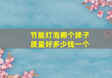 节能灯泡哪个牌子质量好多少钱一个