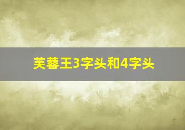 芙蓉王3字头和4字头