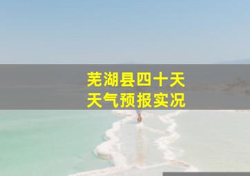 芜湖县四十天天气预报实况